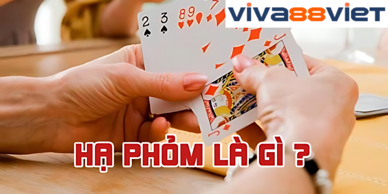 Hướng dẫn cách chơi game bài Phỏm online chi tiết dành cho tân thủ