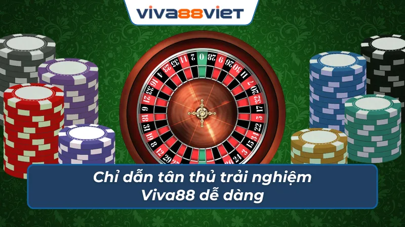 Quy trình chuẩn giúp cược thủ mới khởi đầu dễ dàng cùng Viva88